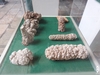 dscn8711.jpg