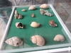 dscn8713.jpg