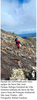 fotos_notas_-_2024-10-01t221844.171.png