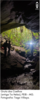 fotos_notas_44_2.png