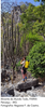 fotos_notas_46.png