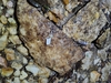 img-20250508-wa0074.jpg