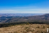 img_8174.jpg