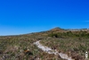 img_8175.jpg