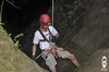 vertical12.jpg