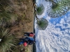 whatsapp_image_2024-12-19_at_09.17.12_3.jpeg